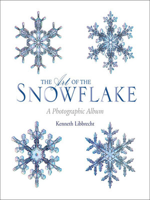 cover image of The Art of the Snowflake